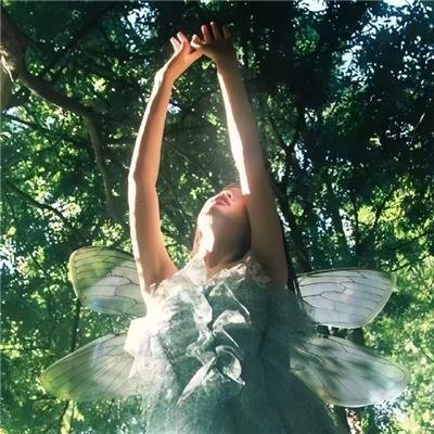 爹地的完美女孩